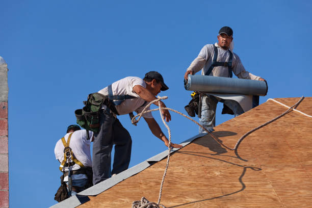 Roof Gutter Cleaning in Miles, TX